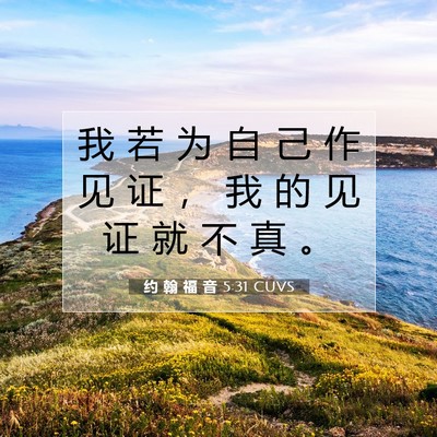 Picture 07 - 约 翰 福 音 5:31 CUVS - 我 若 为 自 己 作 见 证 ， 我 的 见 - Bible Verse Picture
