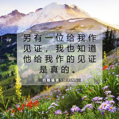 Picture 07 - 约 翰 福 音 5:32 CUVS - 另 有 一 位 给 我 作 见 证 ， 我 也 - Bible Verse Picture