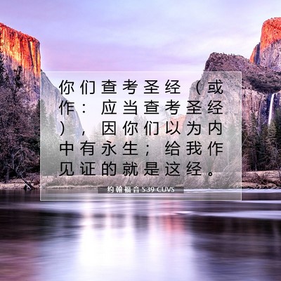 Picture 07 - 约 翰 福 音 5:39 CUVS - 你 们 查 考 圣 经 （ 或 作 ： 应 当 - Bible Verse Picture