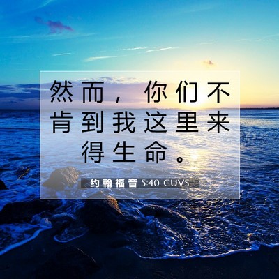 Picture 07 - 约 翰 福 音 5:40 CUVS - 然 而 ， 你 们 不 肯 到 我 这 里 来 - Bible Verse Picture