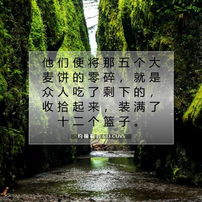 Picture 07 - 约 翰 福 音 6:13 CUVS - 他 们 便 将 那 五 个 大 麦 饼 的 零 - Bible Verse Picture