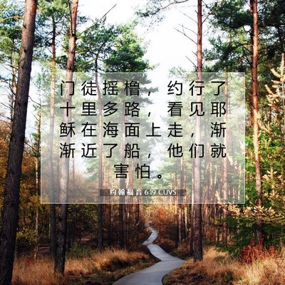 Picture 07 - 约 翰 福 音 6:19 CUVS - 门 徒 摇 橹 ， 约 行 了 十 里 多 路 - Bible Verse Picture