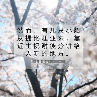 Picture 07 - 约 翰 福 音 6:23 CUVS - 然 而 ， 有 几 只 小 船 从 提 比 哩 - Bible Verse Picture