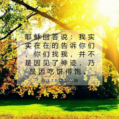 Picture 07 - 约 翰 福 音 6:26 CUVS - 耶 稣 回 答 说 ： 我 实 实 在 在 的 - Bible Verse Picture