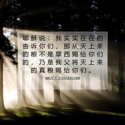 Picture 07 - 约 翰 福 音 6:32 CUVS - 耶 稣 说 ： 我 实 实 在 在 的 告 诉 - Bible Verse Picture