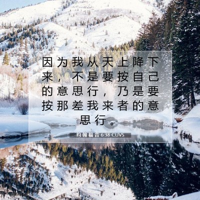 Picture 07 - 约 翰 福 音 6:38 CUVS - 因 为 我 从 天 上 降 下 来 ， 不 是 - Bible Verse Picture