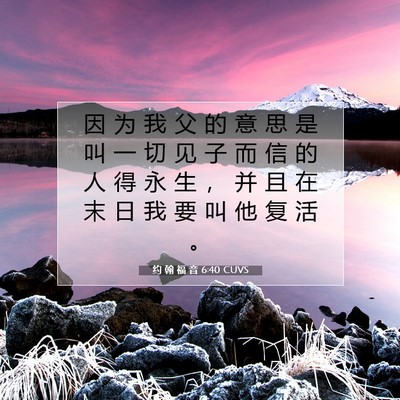 Picture 07 - 约 翰 福 音 6:40 CUVS - 因 为 我 父 的 意 思 是 叫 一 切 见 - Bible Verse Picture