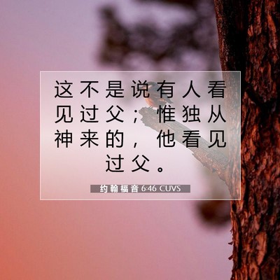 Picture 07 - 约 翰 福 音 6:46 CUVS - 这 不 是 说 有 人 看 见 过 父 ； 惟 - Bible Verse Picture