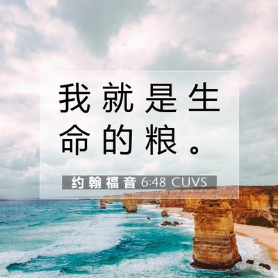 Picture 07 - 约 翰 福 音 6:48 CUVS - 我 就 是 生 命 的 粮 - Bible Verse Picture