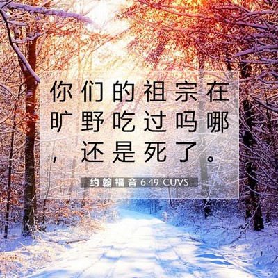 Picture 07 - 约 翰 福 音 6:49 CUVS - 你 们 的 祖 宗 在 旷 野 吃 过 吗 哪 - Bible Verse Picture
