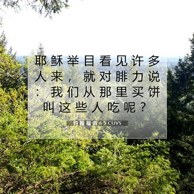 Picture 07 - 约 翰 福 音 6:5 CUVS - 耶 稣 举 目 看 见 许 多 人 来 ， 就 - Bible Verse Picture