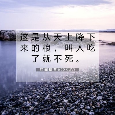 Picture 07 - 约 翰 福 音 6:50 CUVS - 这 是 从 天 上 降 下 来 的 粮 ， 叫 - Bible Verse Picture