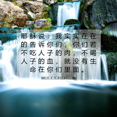 Picture 07 - 约 翰 福 音 6:53 CUVS - 耶 稣 说 ： 我 实 实 在 在 的 告 诉 - Bible Verse Picture
