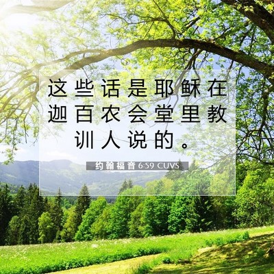 Picture 07 - 约 翰 福 音 6:59 CUVS - 这 些 话 是 耶 稣 在 迦 百 农 会 堂 - Bible Verse Picture