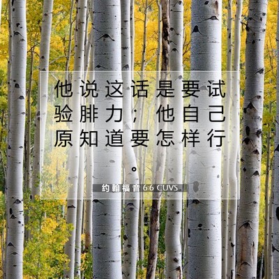 Picture 07 - 约 翰 福 音 6:6 CUVS - 他 说 这 话 是 要 试 验 腓 力 ； 他 - Bible Verse Picture