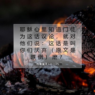 Picture 07 - 约 翰 福 音 6:61 CUVS - 耶 稣 心 里 知 道 门 徒 为 这 话 议 - Bible Verse Picture