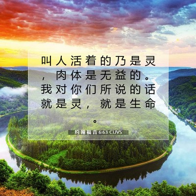 Picture 07 - 约 翰 福 音 6:63 CUVS - 叫 人 活 着 的 乃 是 灵 ， 肉 体 是 - Bible Verse Picture