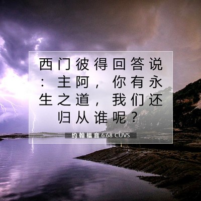 Picture 07 - 约 翰 福 音 6:68 CUVS - 西 门 彼 得 回 答 说 ： 主 阿 ， 你 - Bible Verse Picture