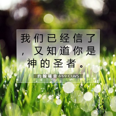 Picture 07 - 约 翰 福 音 6:69 CUVS - 我 们 已 经 信 了 ， 又 知 道 你 是 - Bible Verse Picture