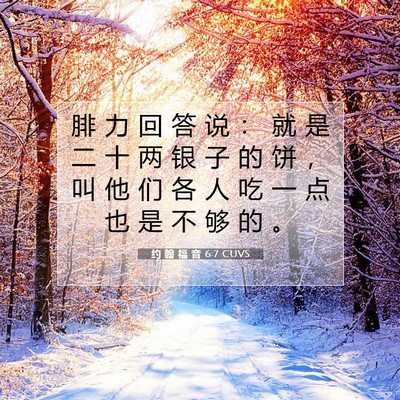 Picture 07 - 约 翰 福 音 6:7 CUVS - 腓 力 回 答 说 ： 就 是 二 十 两 银 - Bible Verse Picture