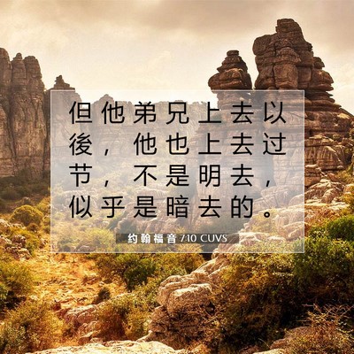Picture 07 - 约 翰 福 音 7:10 CUVS - 但 他 弟 兄 上 去 以 後 ， 他 也 上 - Bible Verse Picture