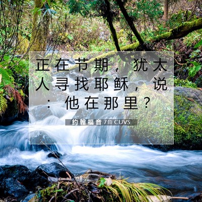 Picture 07 - 约 翰 福 音 7:11 CUVS - 正 在 节 期 ， 犹 太 人 寻 找 耶 稣 - Bible Verse Picture