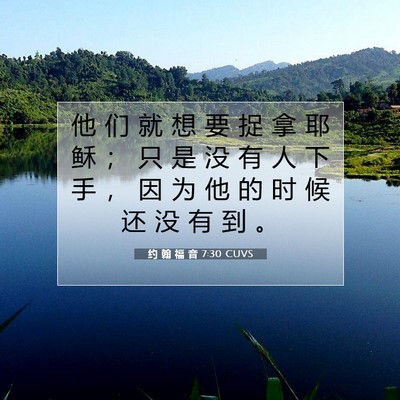 Picture 07 - 约 翰 福 音 7:30 CUVS - 他 们 就 想 要 捉 拿 耶 稣 ； 只 是 - Bible Verse Picture