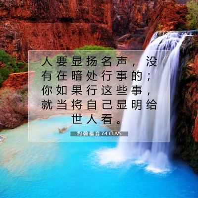 Picture 07 - 约 翰 福 音 7:4 CUVS - 人 要 显 扬 名 声 ， 没 有 在 暗 处 - Bible Verse Picture
