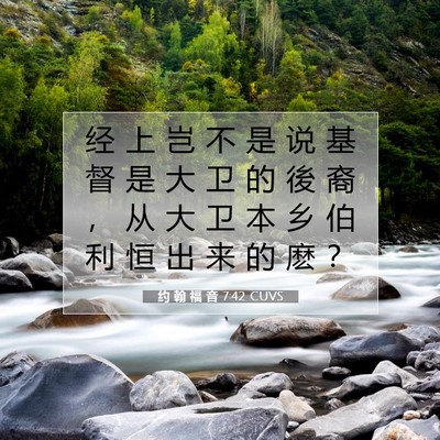 Picture 07 - 约 翰 福 音 7:42 CUVS - 经 上 岂 不 是 说 基 督 是 大 卫 的 - Bible Verse Picture