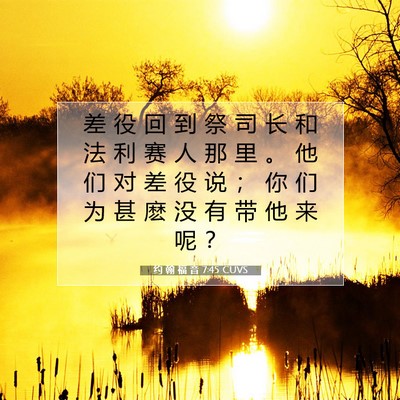 Picture 07 - 约 翰 福 音 7:45 CUVS - 差 役 回 到 祭 司 长 和 法 利 赛 人 - Bible Verse Picture
