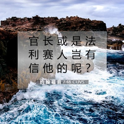 Picture 07 - 约 翰 福 音 7:48 CUVS - 官 长 或 是 法 利 赛 人 岂 有 信 他 - Bible Verse Picture