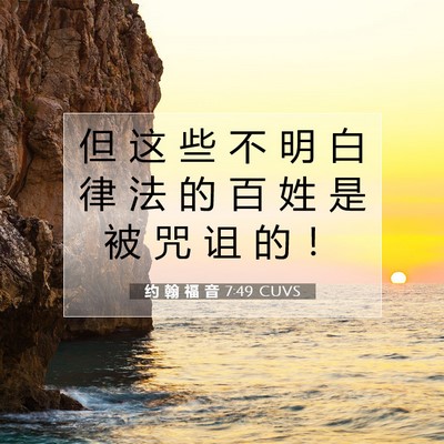 Picture 07 - 约 翰 福 音 7:49 CUVS - 但 这 些 不 明 白 律 法 的 百 姓 是 - Bible Verse Picture