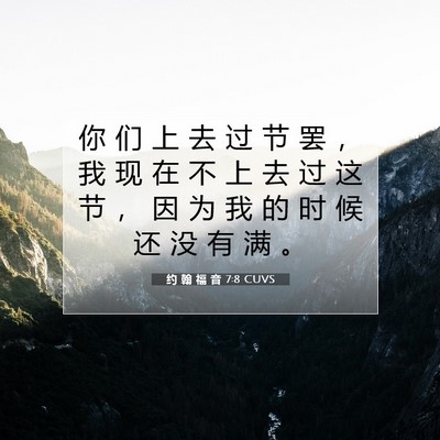 Picture 07 - 约 翰 福 音 7:8 CUVS - 你 们 上 去 过 节 罢 ， 我 现 在 不 - Bible Verse Picture
