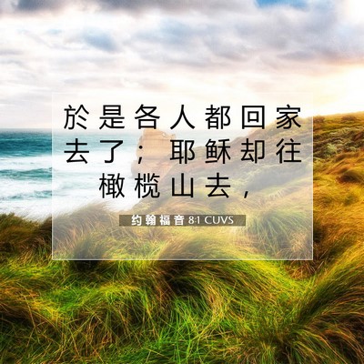 Picture 07 - 约 翰 福 音 8:1 CUVS - 於 是 各 人 都 回 家 去 了 ； 耶 稣 - Bible Verse Picture
