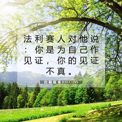 Picture 07 - 约 翰 福 音 8:13 CUVS - 法 利 赛 人 对 他 说 ： 你 是 为 自 - Bible Verse Picture