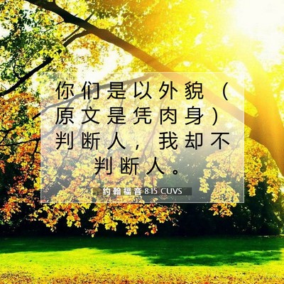 Picture 07 - 约 翰 福 音 8:15 CUVS - 你 们 是 以 外 貌 （ 原 文 是 凭 肉 - Bible Verse Picture