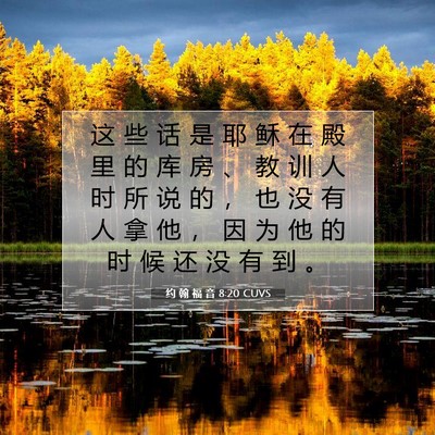 Picture 07 - 约 翰 福 音 8:20 CUVS - 这 些 话 是 耶 稣 在 殿 里 的 库 房 - Bible Verse Picture
