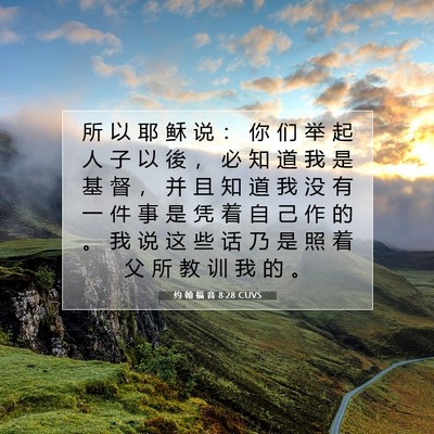 Picture 07 - 约 翰 福 音 8:28 CUVS - 所 以 耶 稣 说 ： 你 们 举 起 人 子 - Bible Verse Picture