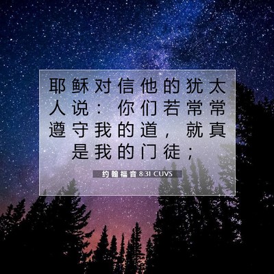Picture 07 - 约 翰 福 音 8:31 CUVS - 耶 稣 对 信 他 的 犹 太 人 说 ： 你 - Bible Verse Picture