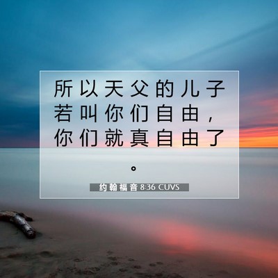 Picture 07 - 约 翰 福 音 8:36 CUVS - 所 以 天 父 的 儿 子 若 叫 你 们 自 - Bible Verse Picture