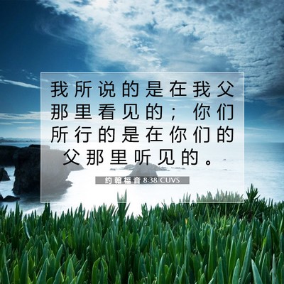 Picture 07 - 约 翰 福 音 8:38 CUVS - 我 所 说 的 是 在 我 父 那 里 看 见 - Bible Verse Picture