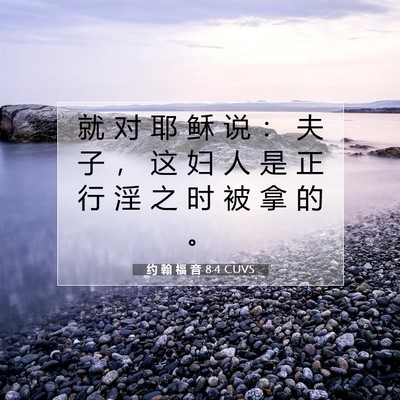 Picture 07 - 约 翰 福 音 8:4 CUVS - 就 对 耶 稣 说 ： 夫 子 ， 这 妇 人 - Bible Verse Picture