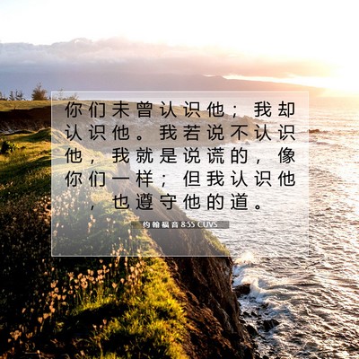 Picture 07 - 约 翰 福 音 8:55 CUVS - 你 们 未 曾 认 识 他 ； 我 却 认 识 - Bible Verse Picture