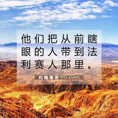 Picture 07 - 约 翰 福 音 9:13 CUVS - 他 们 把 从 前 瞎 眼 的 人 带 到 法 - Bible Verse Picture