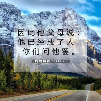 Picture 07 - 约 翰 福 音 9:23 CUVS - 因 此 他 父 母 说 ： 他 已 经 成 了 - Bible Verse Picture