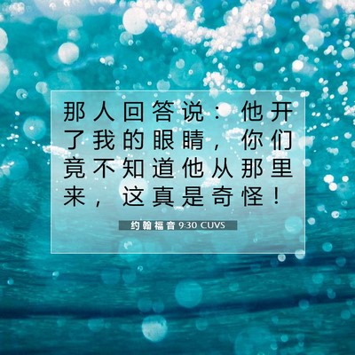 Picture 07 - 约 翰 福 音 9:30 CUVS - 那 人 回 答 说 ： 他 开 了 我 的 眼 - Bible Verse Picture