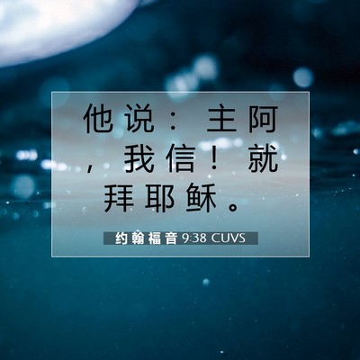 Picture 07 - 约 翰 福 音 9:38 CUVS - 他 说 ： 主 阿 ， 我 信 ！ 就 拜 耶 - Bible Verse Picture