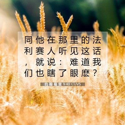 Picture 07 - 约 翰 福 音 9:40 CUVS - 同 他 在 那 里 的 法 利 赛 人 听 见 - Bible Verse Picture