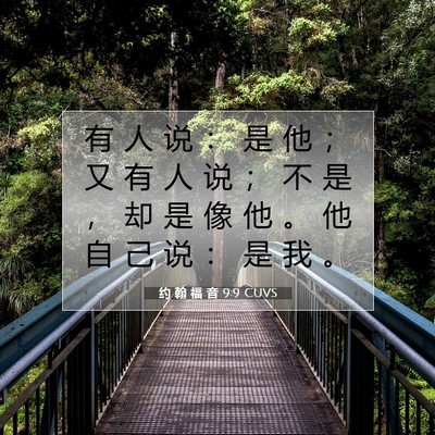 Picture 07 - 约 翰 福 音 9:9 CUVS - 有 人 说 ： 是 他 ； 又 有 人 说 ； - Bible Verse Picture