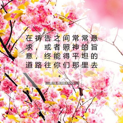 Picture 07 - 罗 马 书 1:10 CUVS - 在 祷 告 之 间 常 常 恳 求 ， 或 者 - Bible Verse Picture